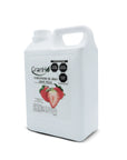 Producto GranHo, insumos para café, té y bebidas Concentradofresa_02