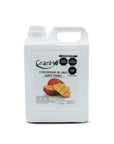 Envase de producto GranHo, para uso en cafeterías y recetas de bebidas Concentradomango_01